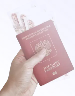 vector-image